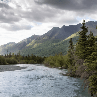 Trip naar Overbridge image