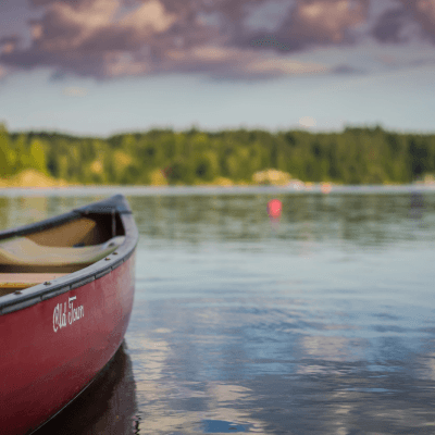 Trip naar Overbridge image