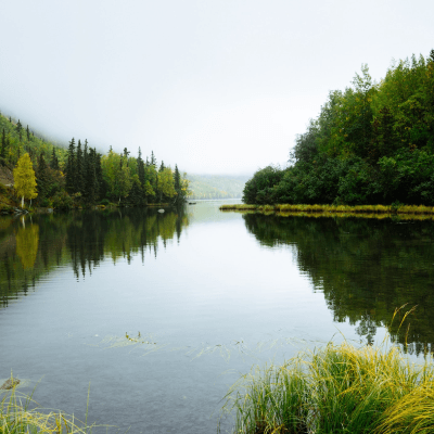 Trip naar Raleighvallen image